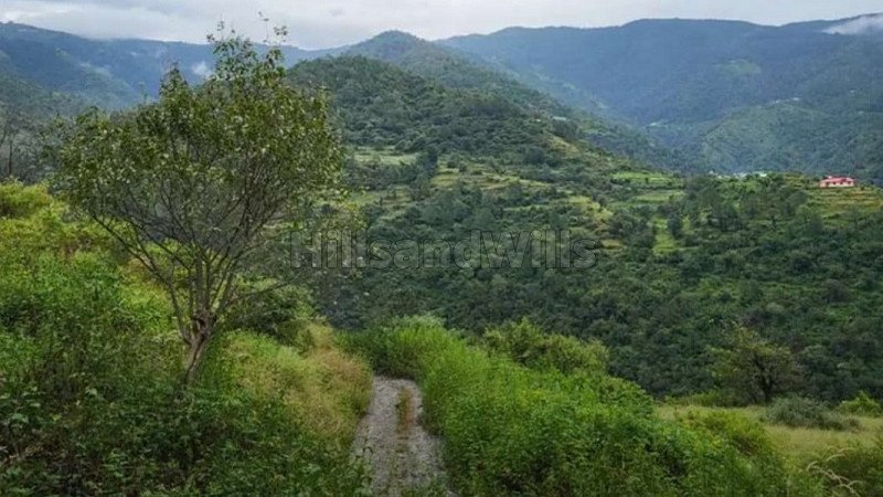 ₹21 Cr | 30 bigha agriculture land for sale in zalaf gussan road shimla