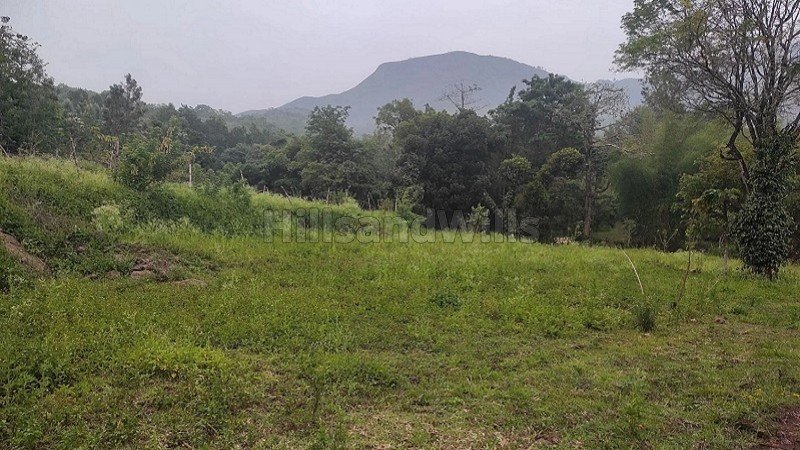 ₹1.20 Cr | 5 acres agriculture land for sale  in pallangi kodaikanal