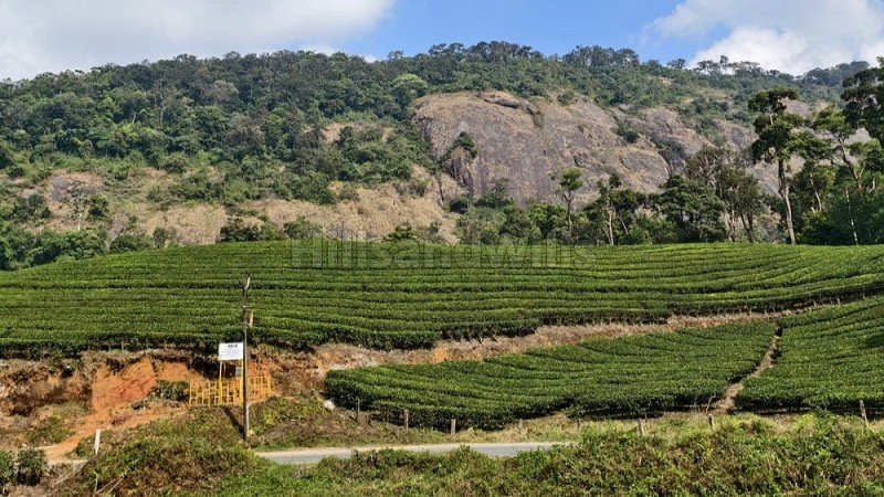 ₹3.50 Cr | 2.30 acres residential plot for sale  in viripara munnar