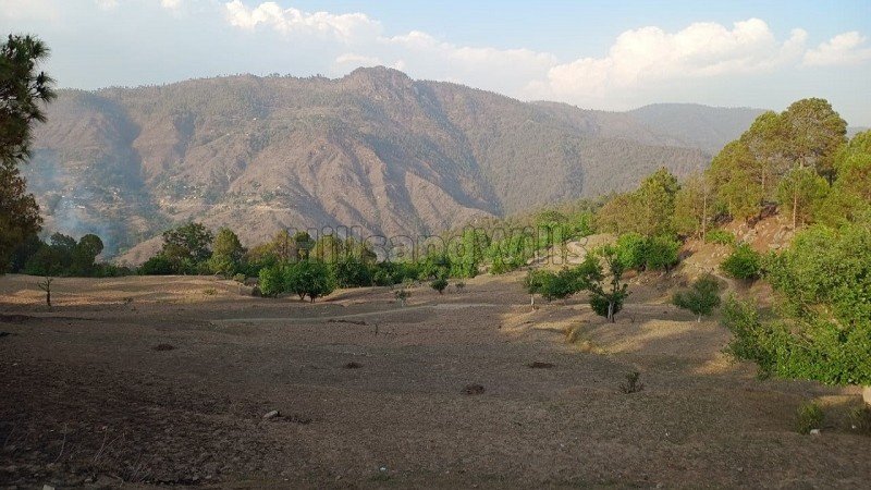 ₹40.40 Lac | 10908 sq.ft. agriculture land for sale in mauna nainital