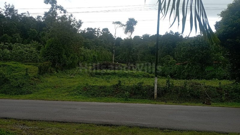 ₹5 Cr | 2 acres commerical land for sale in chettimane near bhagamandala coorg