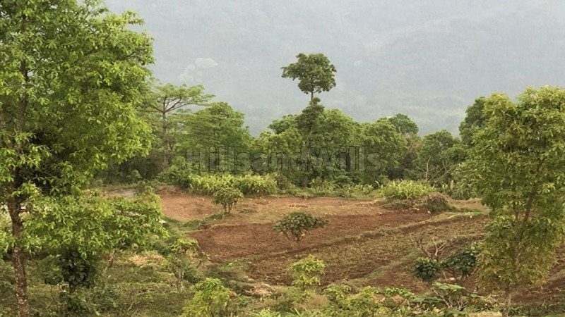 ₹70 Lac | 1 acres agriculture land for sale in kalimpong darjeeling