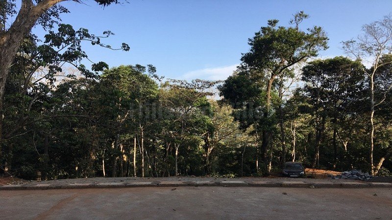 ₹4.40 Cr | 14.5 acres coffee estate with bungalow for sale in madikeri coorg