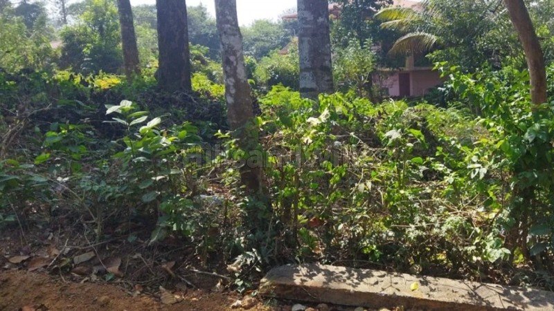 ₹45 Lac | 4580 sq.ft. residential plot for sale  in virajpet coorg