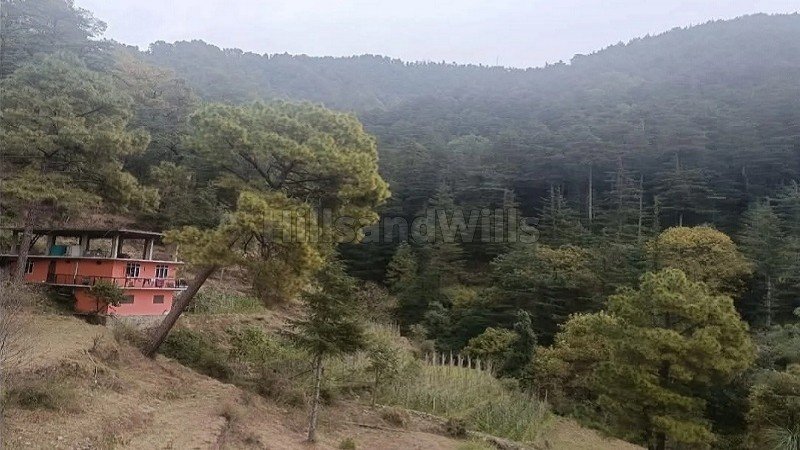 ₹3 Cr | 3bhk farm house for sale  in chail shimla