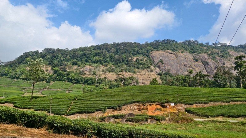 ₹3.50 Cr | 2.30 acres residential plot for sale  in viripara munnar