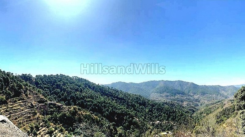 ₹55 Lac | 250 sq.yards residential plot for sale in kasauli solan