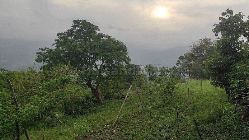 ₹1.20 Cr | 5 acres agriculture land for sale  in pallangi kodaikanal