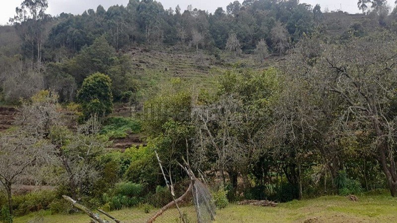 ₹16 Cr | 7 acres commerical land for sale  in vilpatti kodaikanal