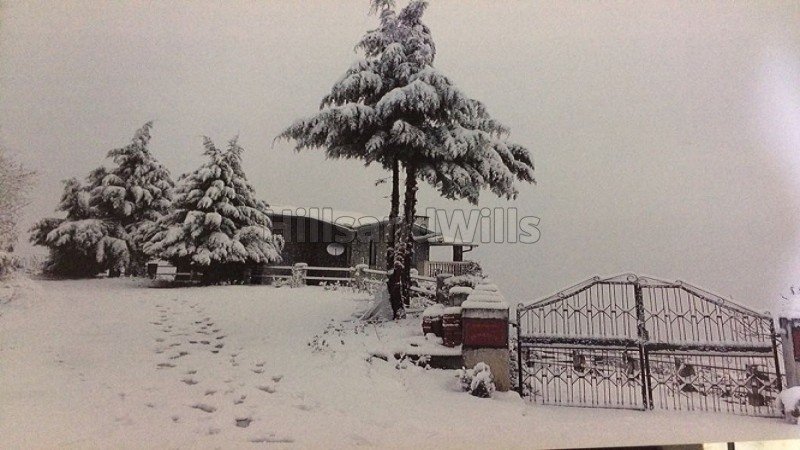 ₹3 Cr | 3bhk  snow clad himalayan view cottage for sale in mukteshwar nainital