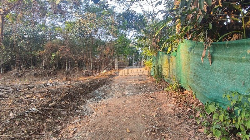 ₹7 Lac | 14 cents residential plot for sale in cheengode wayanad