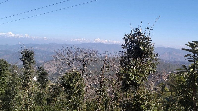 ₹24 Lac - 48 Lac | 300 sq.yards - 600 sq.yards  himalayan view residential plots for sale in jalna, almora near nainital