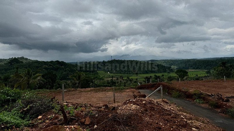 ₹6 Lac | 5 cents residential plot for sale in kambalakkad wayanad