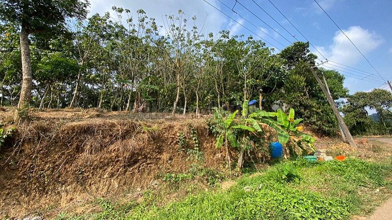 ₹32.80 Lac | 82 cents residential plot for sale in varayal wayanad