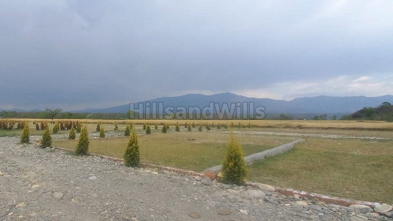 ₹12.75 Lac | 1050 sq.ft. residential plot for sale in rajawala, central hope town dehradun