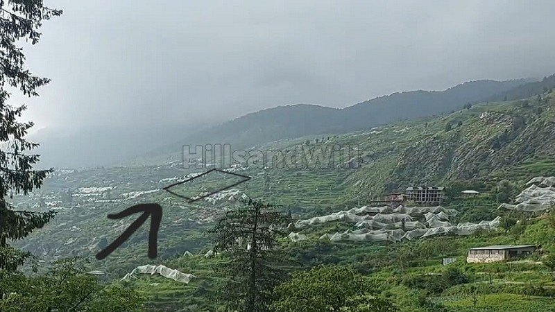 ₹1 Cr | 1 bigha  apple orchard for sale  in jibhi valley kullu-manali