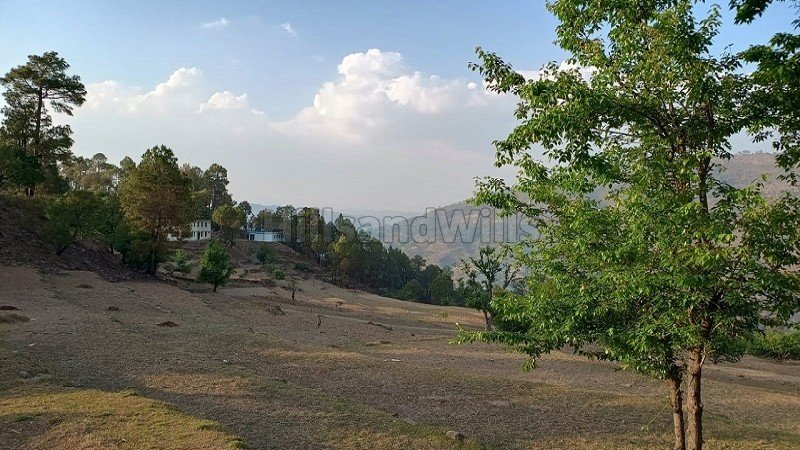 ₹40.40 Lac | 10908 sq.ft. agriculture land for sale in mauna nainital