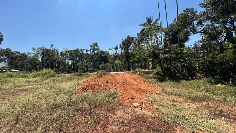 ₹1.80 Cr | 60 cents commerical land for sale in padinjarathara wayanad