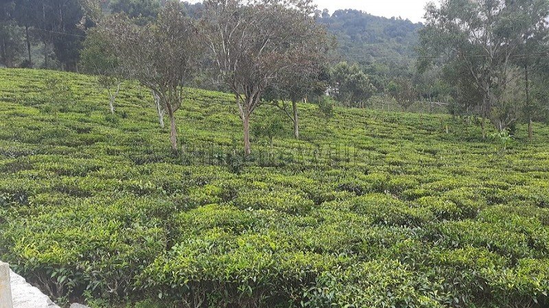 ₹52.50 Lac - 1 Cr | 21 cents - 40 cents residential plot for sale in aravenu kotagiri