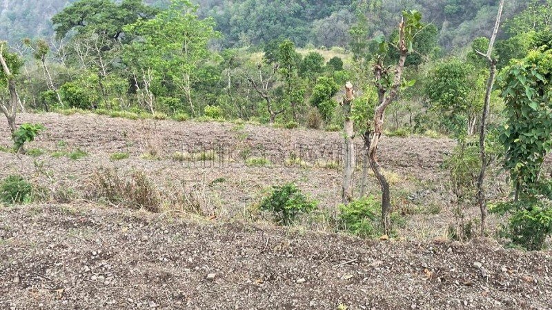 ₹3.30 Cr | 6 bigha agriculture land for sale  in dharkot thano dehradun