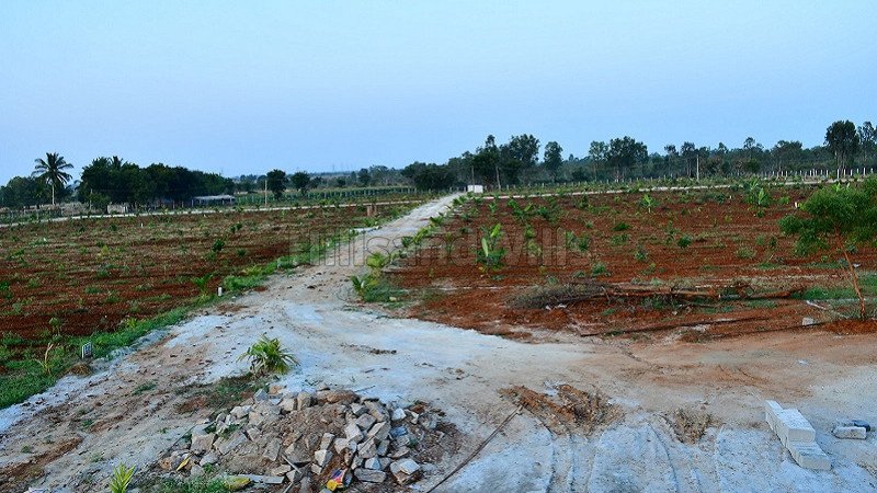 ₹16.26 Lac | 6534 sq.ft. agriculture land for sale in chikkaballapur madhugiri hills