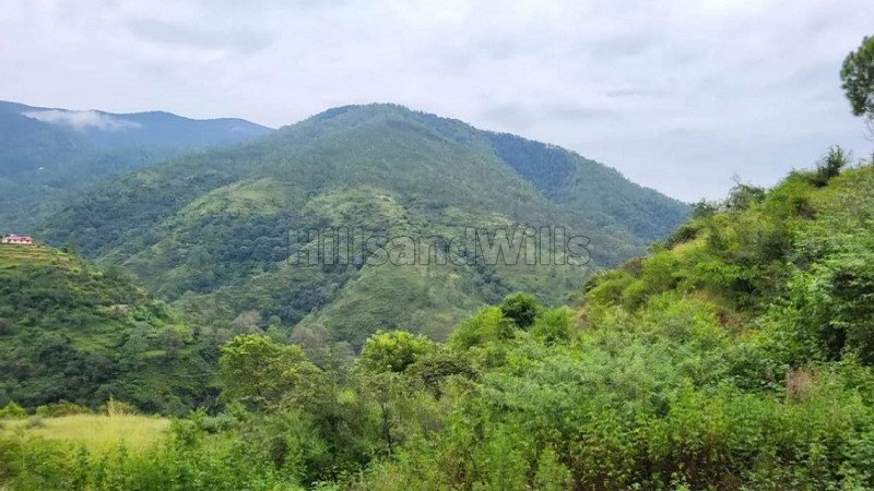 ₹21 Cr | 30 bigha agriculture land for sale in zalaf gussan road shimla