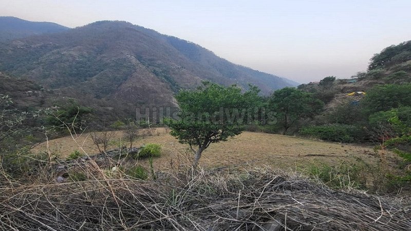 ₹21 Cr | 30 bigha agriculture land for sale in zalaf gussan road shimla