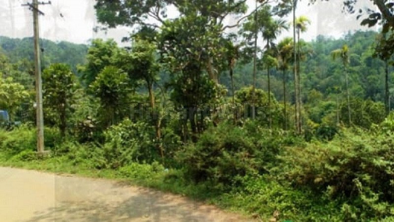 ₹25 Lac | 23 cents residential plot for sale in vythiri wayanad