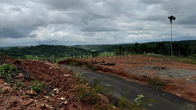 ₹6 Lac | 5 cents residential plot for sale in kambalakkad wayanad