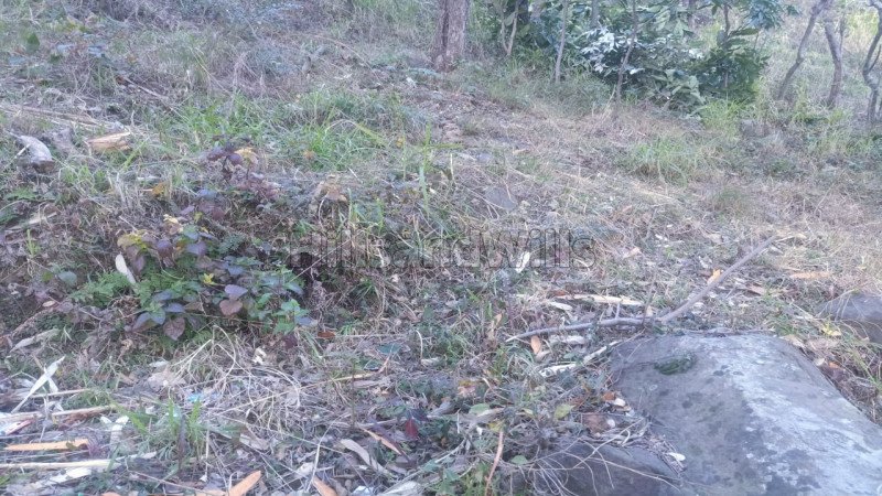 ₹3 Cr | 97 biswa residential plot for sale  in manali, kullu-manali