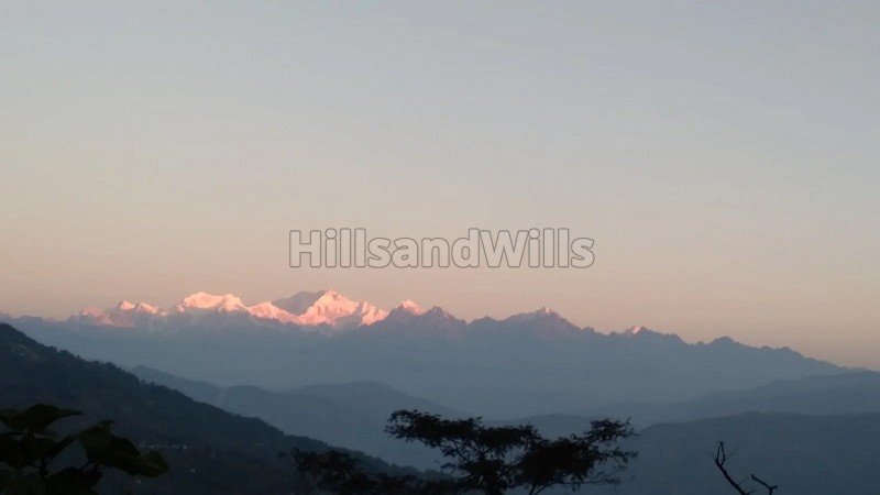 ₹12 Lac | 80 decimal agriculture land for sale  in dabaipani darjeeling