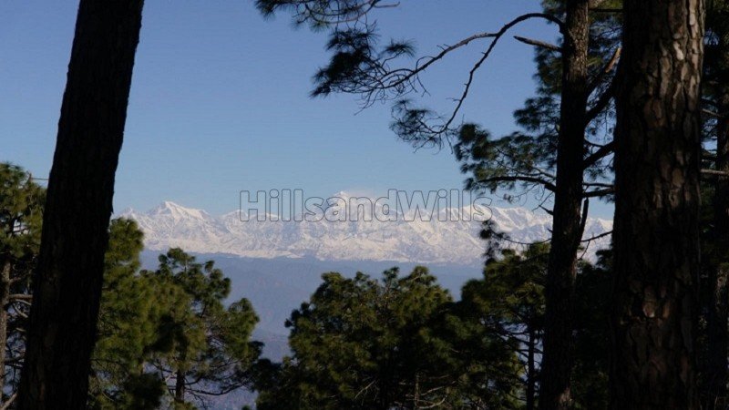 ₹35 Cr | 12000 sq. ft resort for sale in manila, almora near nainital along with 37000 sq.ft. land