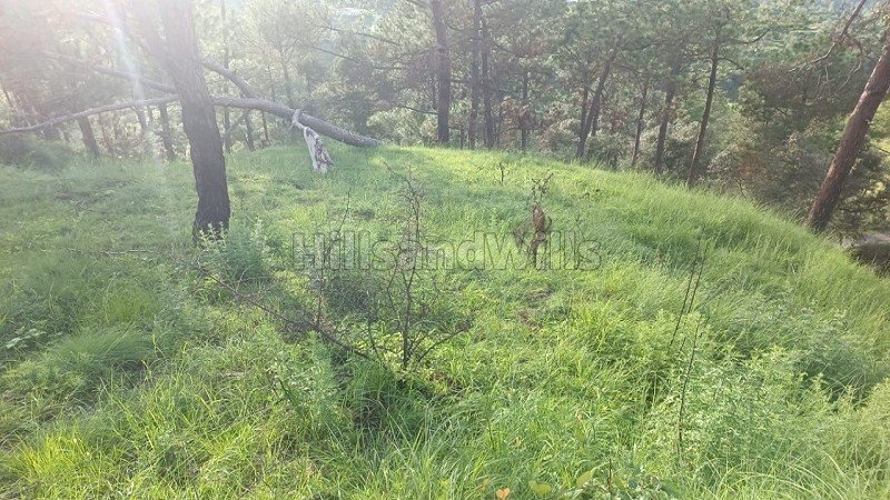 ₹50 Lac | 10800 sq.ft. commerical land for sale in almora near nainital