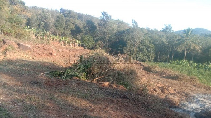 ₹60 Lac | 1 acres agriculture land for sale  in avarikadu kolli hills