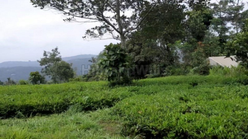 ₹1.80 Cr | 2.41 acres tea estate for sale  in calvary mount idukki