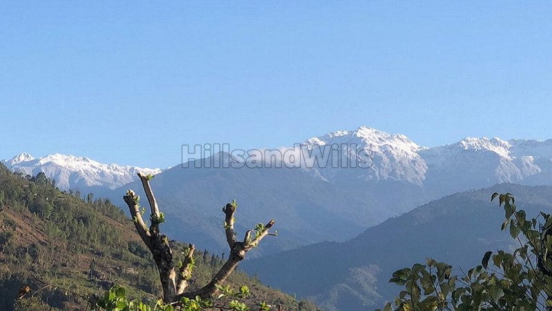 ₹70 Lac | 1 acres agriculture land for sale in kalimpong darjeeling