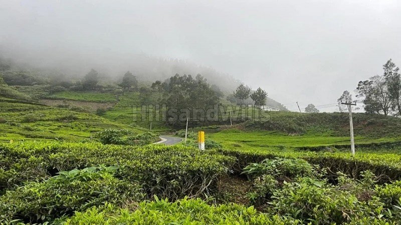 ₹96 Lac | 30 cents agriculture land for sale in t mynalai ooty