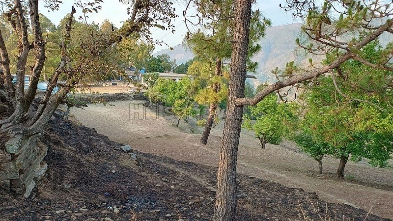 ₹40.40 Lac | 10908 sq.ft. agriculture land for sale in mauna nainital