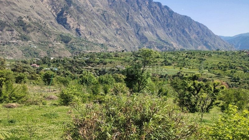 ₹2.50 Cr | 5 bigha agriculture land for sale in mandi prasher lake near kullu-manali