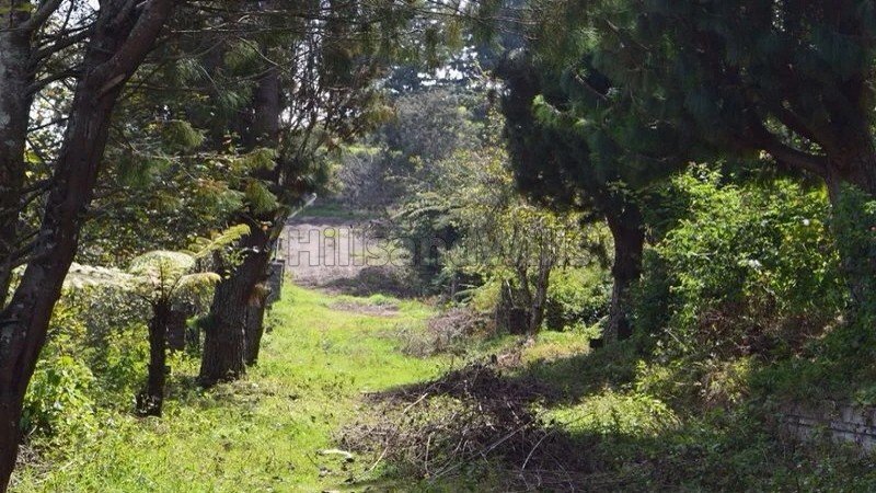 ₹17.10 Cr | 5.70 acres gated estate for sale  in upcoming corporation limit of kodaikanal