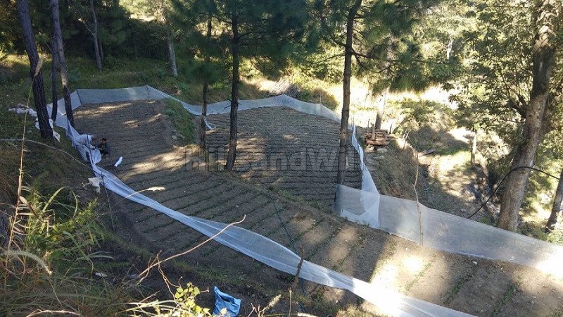 ₹52.80 Lac | 7.14 bigha commerical land for lease  in dehun ghat, saproon, solan