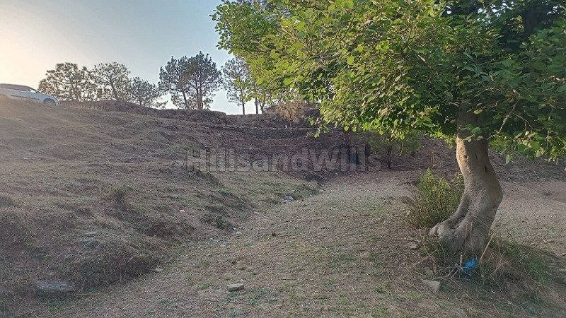 ₹40.40 Lac | 10908 sq.ft. agriculture land for sale in mauna nainital