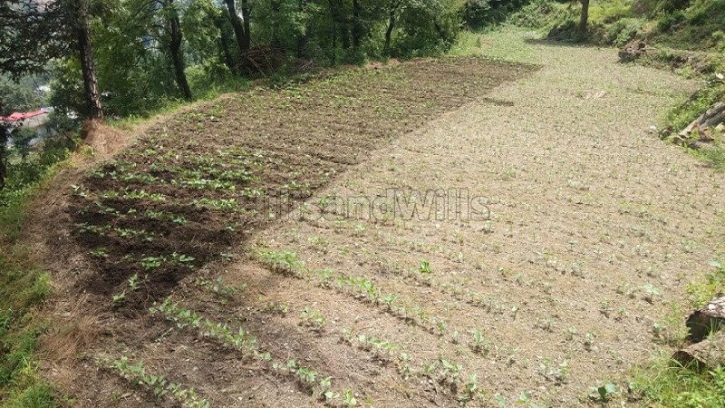 ₹52.80 Lac | 7.14 bigha commerical land for lease  in dehun ghat, saproon, solan