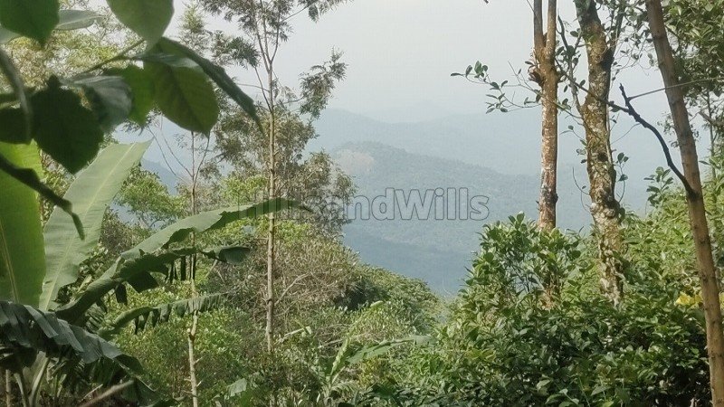 ₹50 Lac | 2 acres agriculture land for sale in pachalur kodaikanal