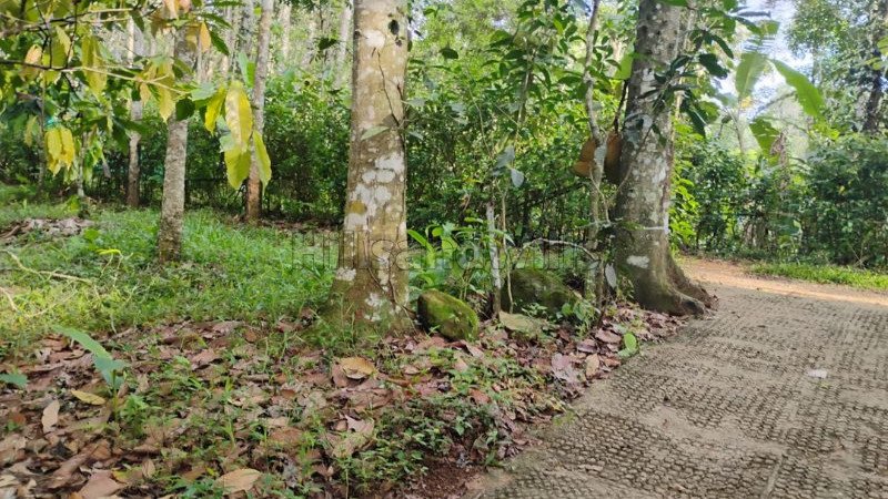 ₹1.90 Cr | 5 acres agriculture land for sale in anachal munnar