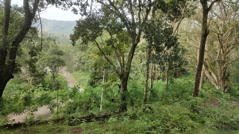 ₹39.10 Lac | 23 cents agriculture land for sale in oothu kodaikanal