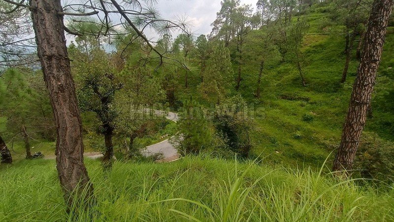 ₹88.12 Lac | 8640 sq.ft. commerical land for sale in alomora near nainital