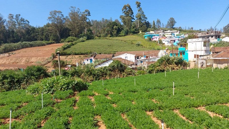 ₹3 Cr | 33 cents agriculture land for sale in muthorai palada ooty