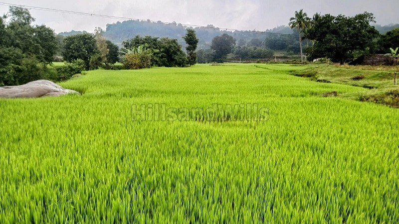 ₹32.40 Lac | 2160 sq.ft.  gated community plot for sale in nilavoor yelagiri