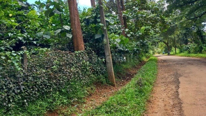 ₹32.30 Cr | 85 acres coffee estate for sale in wayanad